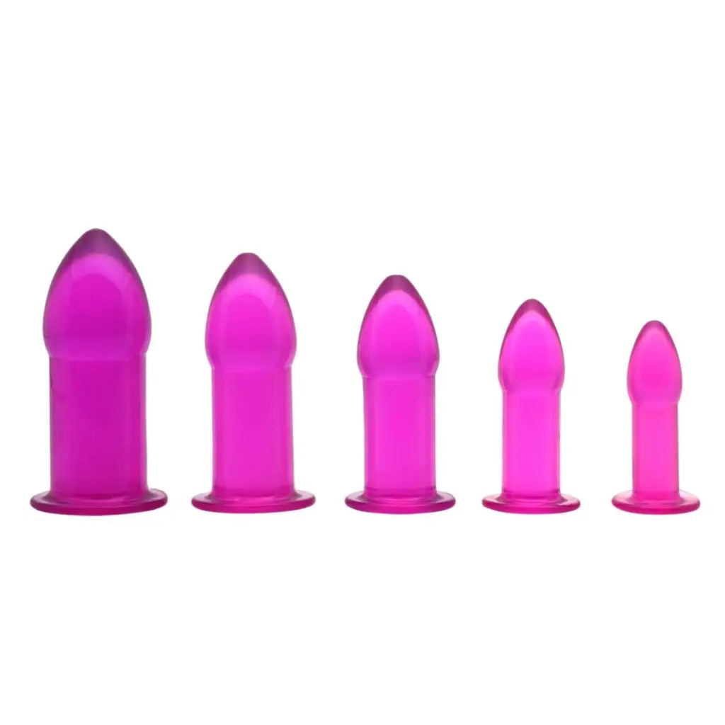 anal toys with smooth design-5 Piece Anal Trainer Set